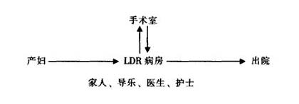 LDR新模式